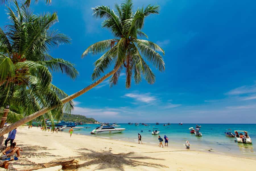 Koh Samui: Ko Tao & Nang Yuan Premium Tour Lunch & Transfer - The 150-meter Ko Nang Yuan viewpoint