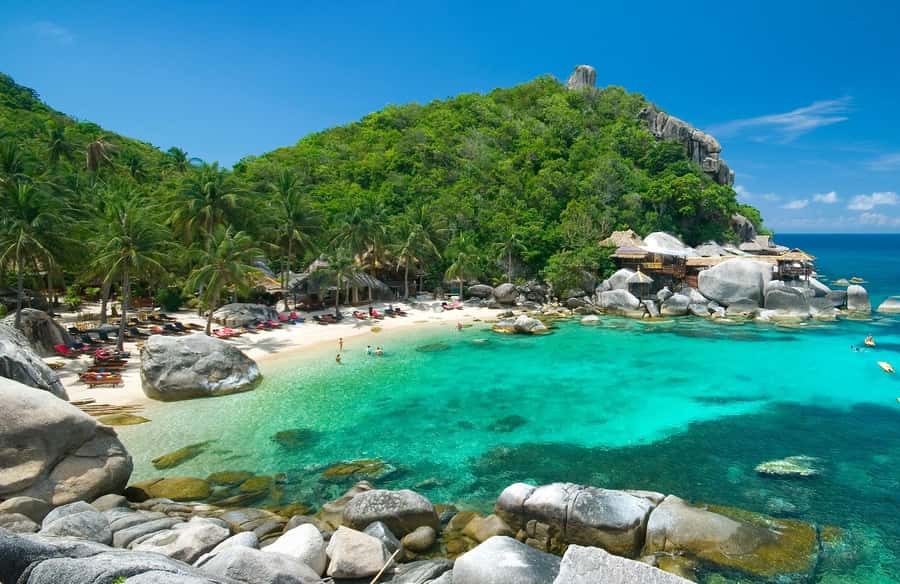 Koh Samui: Koh Nangyuan & Koh Tao Speedboat Tour with Lunch - Koh Tao snorkeling and the choice of bays