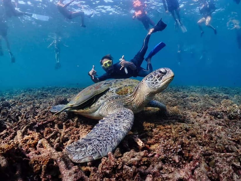 Koh Samui: Koh Tao and Koh Nang Yuan Speedboat Join Tour - Koh Tao snorkeling: three possible bays
