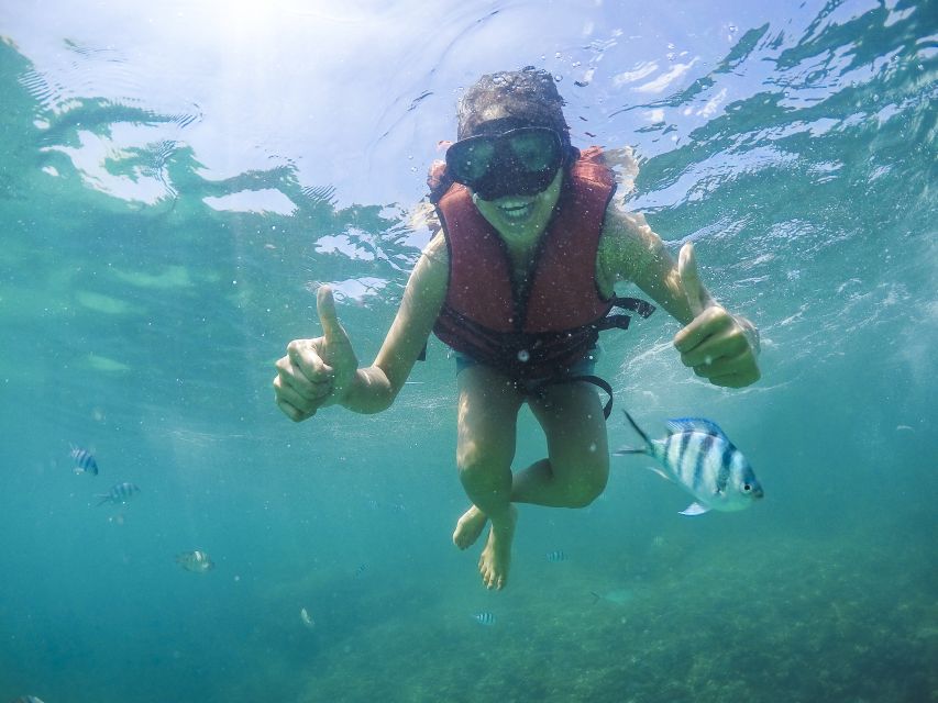 Koh Samui: Pig Island & Koh Tan Snorkeling by Speed boat - Key points before you book
