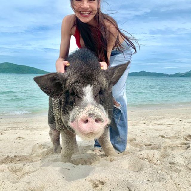 Koh Samui: Pig Island & Koh Tan Snorkeling by Speed boat - Koh Tan lunch gives the tour its quiet pause