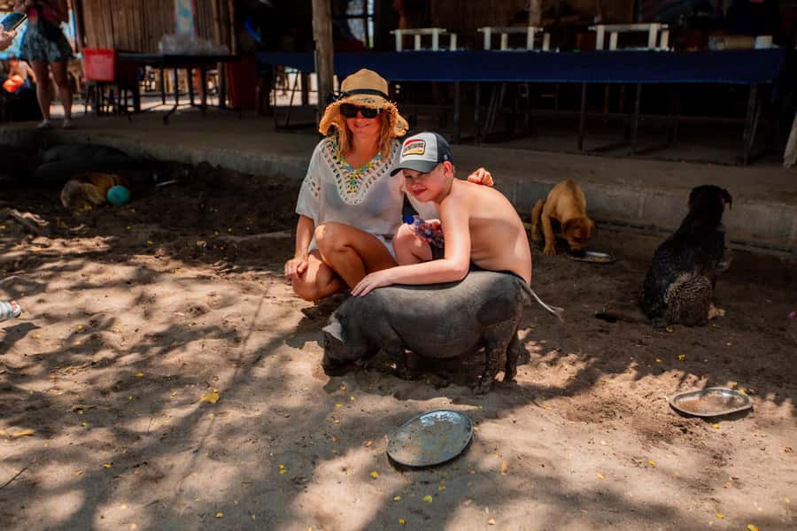 Koh Samui: Pig Island & Koh Tan Speedboat Tour with Lunch - Practical tips for a better day