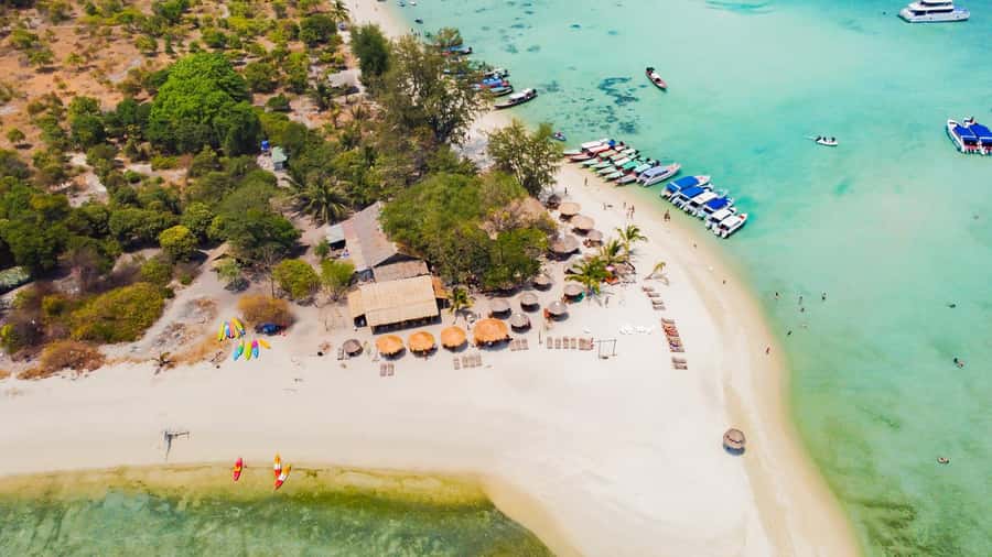 Koh Samui: Pig Island & Koh Tan Speedboat Tour with Lunch - Koh Madsum and the famous pigs