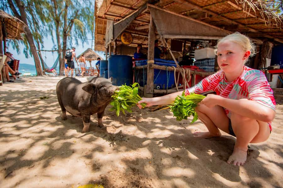 Koh Samui: Pig Island & Koh Tan Speedboat Tour with Lunch - Lunch, drinks, and the schedule detail to watch