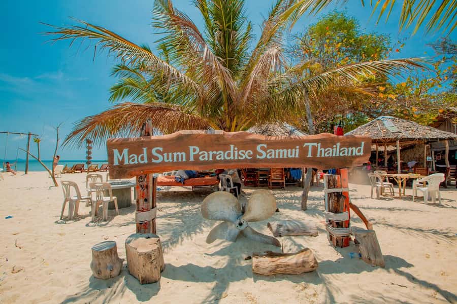 Koh Samui: Pig Island & Koh Tan Speedboat Tour with Lunch - Who will enjoy this most