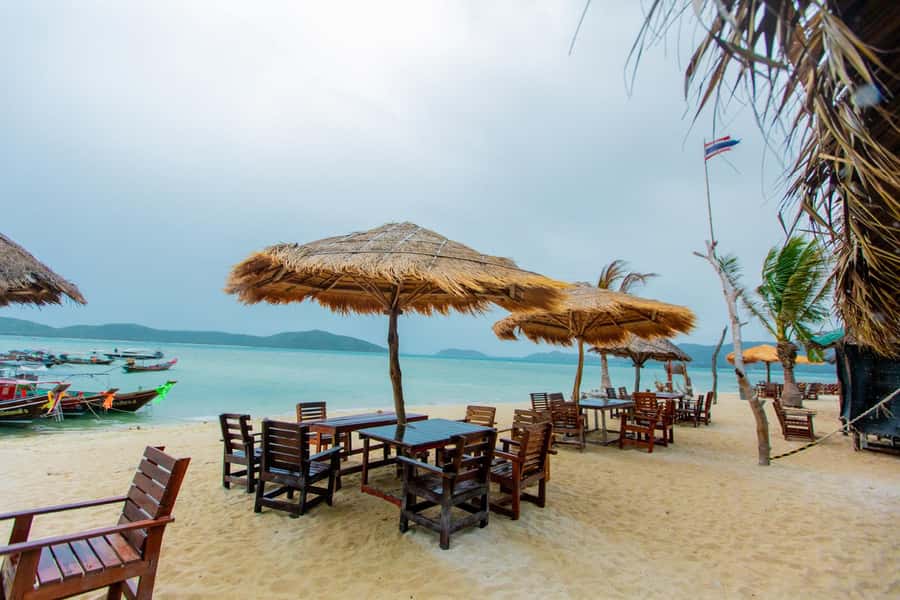 Koh Samui: Pink Dolphin Spotting & Pig Island Speedboat Tour - Meeting the pigs on Ko Madsum