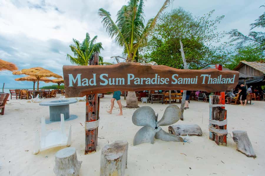Koh Samui: Pink Dolphin Spotting & Pig Island Speedboat Tour - Pickup, pier time, and the ride out