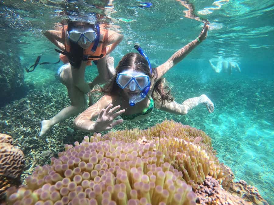 Koh Samui: Private Speedboat Charter – Custom Island Routes - Who should book this experience?