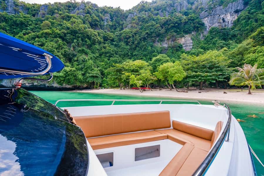Koh Samui: Private Speedboat to Pig Island with Snorkeling - Key points at a glance