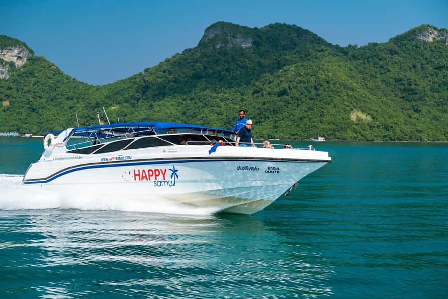 Koh Samui: Private Speedboat to Pig Island with Snorkeling - Why this private Koh Samui trip makes sense
