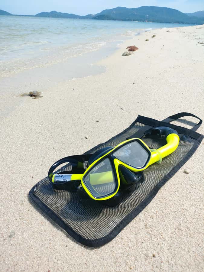 Koh Samui: Private Speedboat to Pig Island with Snorkeling - Meeting the pigs on Koh Madsum