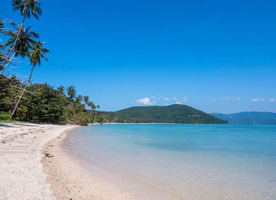 Koh Samui: Private Speedboat Tour to Koh Madsum and Koh Tan - What is included, and what is not