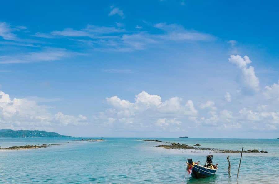 Koh Samui: Private Speedboat Tour to Koh Madsum and Koh Tan - How the experience is rated