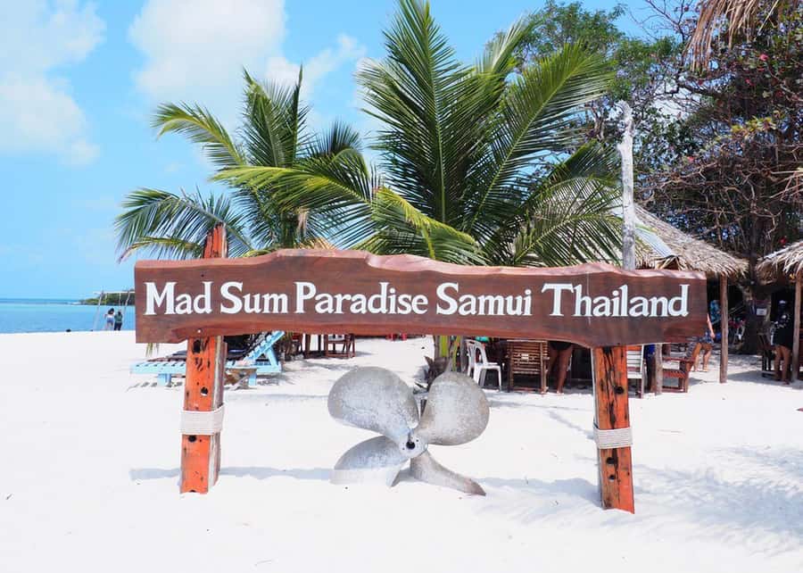 Koh Samui: Private Speedboat Tour to Koh Madsum and Koh Tan - Koh Madsum and its famous pigs