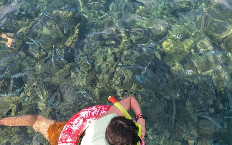 Koh Samui: Snorkeling and Kayaking by Speedboat - Safety, comfort, and the weather question