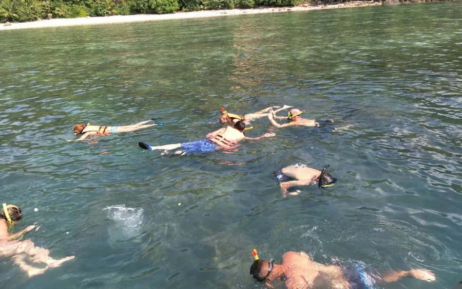 Koh Samui: Snorkeling and Kayaking by Speedboat - Snorkeling around Koh Tan’s protected reef