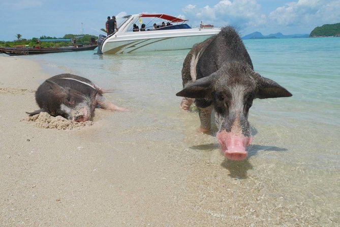Koh Tan and Koh Madsum Snorkeling Trip By Speedboat From Koh Samui - What the $60.34 price really covers
