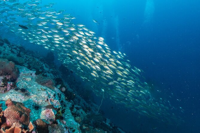 Koh Tao and Koh Nang Yuan by Speedboat - What the $79.12 price includes