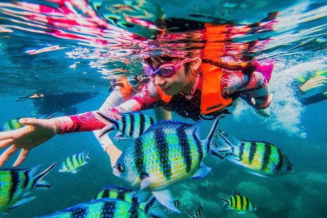 Koh Tao and Koh Nang Yuan Snorkel Tour (Speedboat from Koh Samui) - The 90-minute ride from Koh Samui