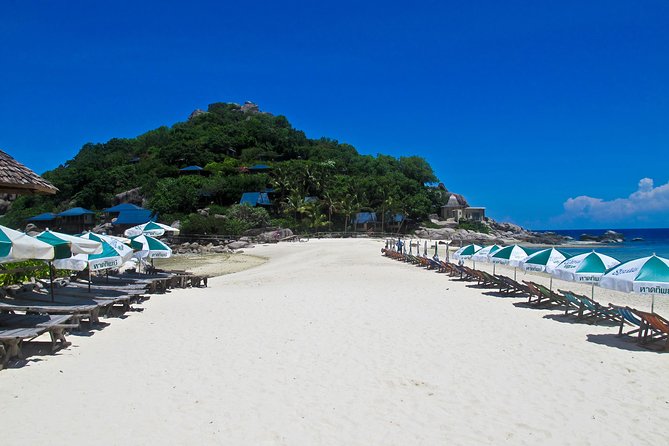Koh Tao and Koh Nang Yuan Snorkel Tour (Speedboat from Koh Samui) - Lunch on Koh Tao