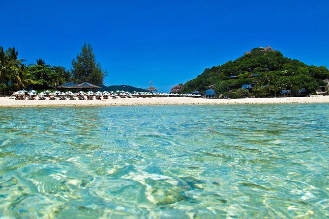 Koh Tao and Koh Nang Yuan Snorkel Tour (Speedboat from Koh Samui) - Who should book this outing