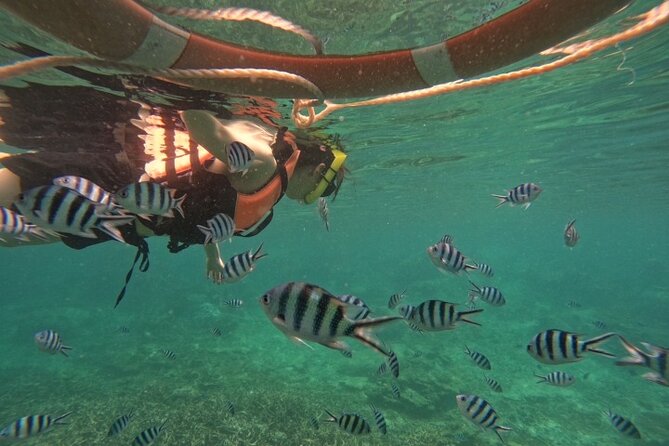 Koh Tao and Koh Nang Yuan Speedboat Tour from Koh Phangan - Drinks, equipment, and what the price covers