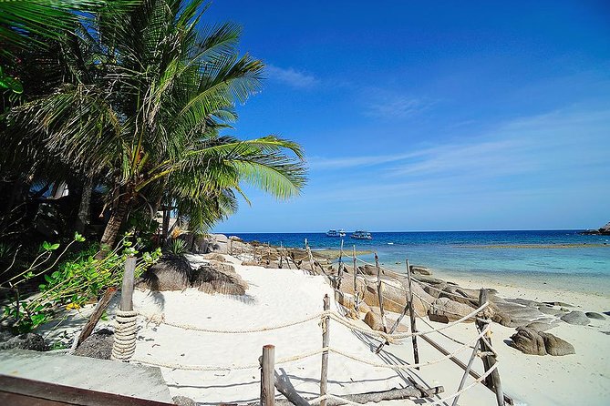 Koh Tao and Koh Nang Yuan Speedboat Tour from Koh Samui - Swimming, beaches, and the viewpoint