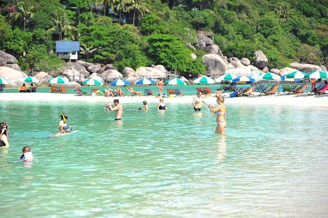 Koh Tao and Koh Nang Yuan Speedboat Tour from Koh Samui - Weather, safety, and who can join