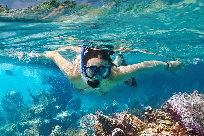 Koh Tao and Koh Nangyuan Snorkeling Tour by Speedboat from Ko Samui - Leaving Koh Samui at 8:00 am