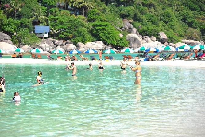 Koh Tao & Koh Nangyuan by Speed Boat (Snorkeling trip from Koh Samui) - What the $58.49 price really covers