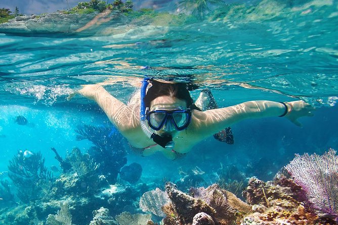 Koh Tao & Koh Nangyuan Snorkeling Tour by Speedboat from Ko Samui - The day begins with a long ride from Koh Samui