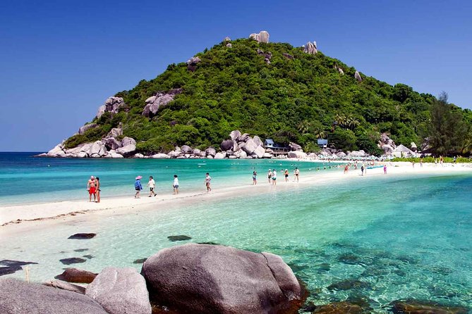 Koh Tao & Koh Nangyuan Snorkeling Tour by Speedboat from Ko Samui - Is $114.95 a fair price?