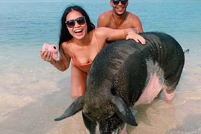 kohsamui.tours - Pig Island Snorkeling Eco Tour by Speed Boat - Key points at a glance