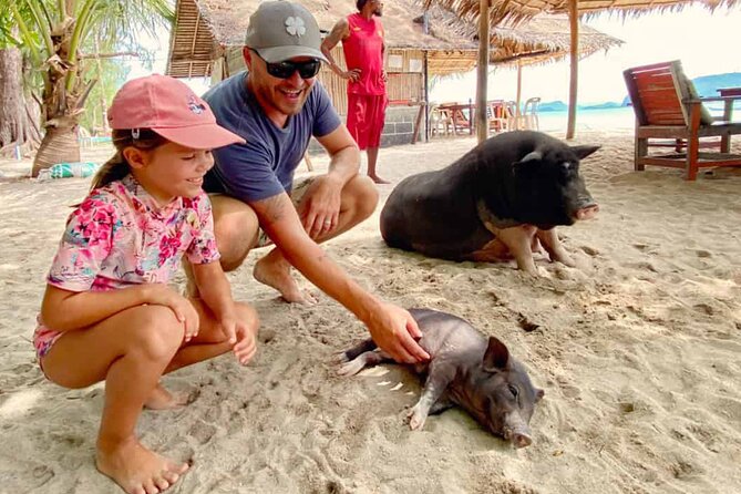 kohsamui.tours - Pig Island Snorkeling Eco Tour by Speed Boat - Arriving at Koh Mudsum, the home of the pigs
