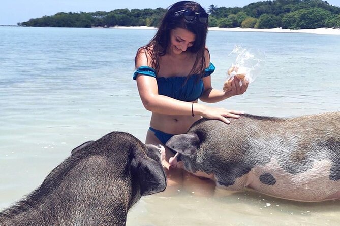 kohsamui.tours - Pig Island Snorkeling Eco Tour by Speed Boat - What the small-group format changes