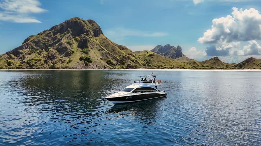 Komodo Full Day Speedboat Tour from Labuan Bajo - Meeting Komodo dragons on Komodo Island