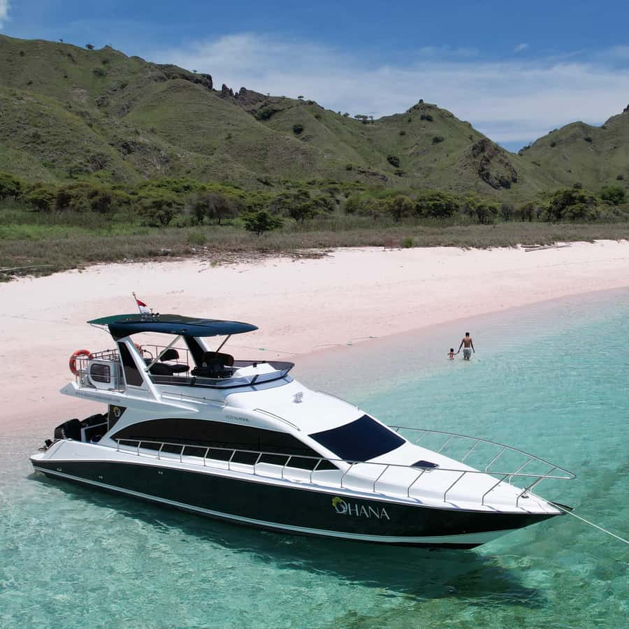 Komodo Full Day Speedboat Tour from Labuan Bajo - What the $117 price really includes