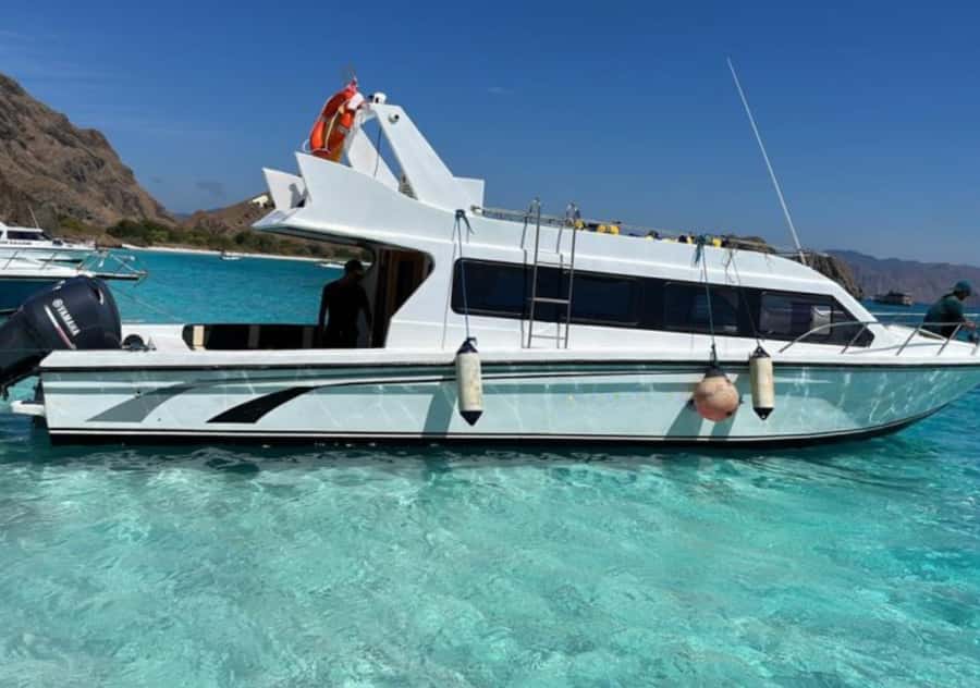 Komodo Island: 3D2N Private Speedboat Tour with Hotel - Komodo Island and the national park ranger