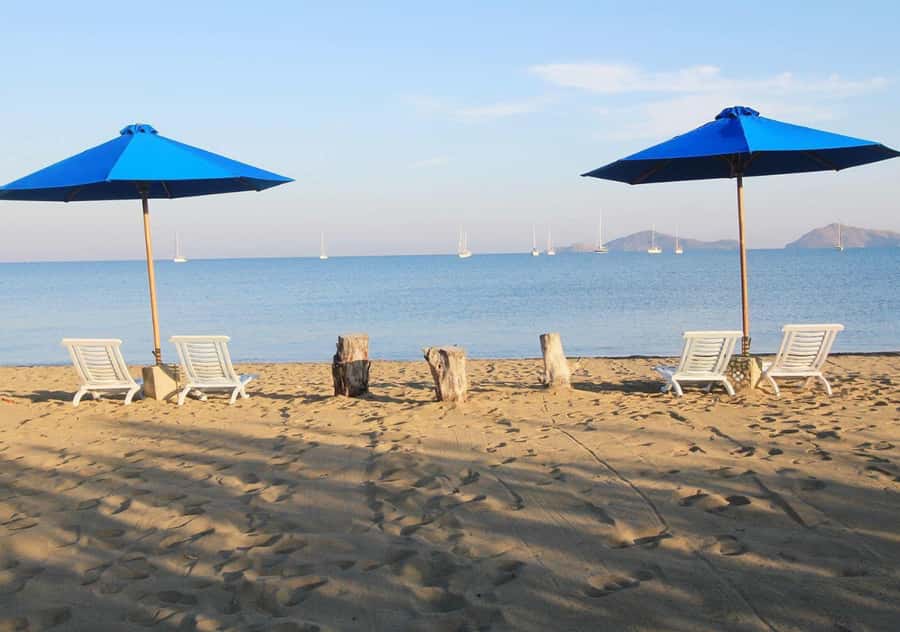 Komodo Island: 3D2N Private Speedboat Tour with Hotel - Taka Makassar, Manta Point, and Turtle Bay