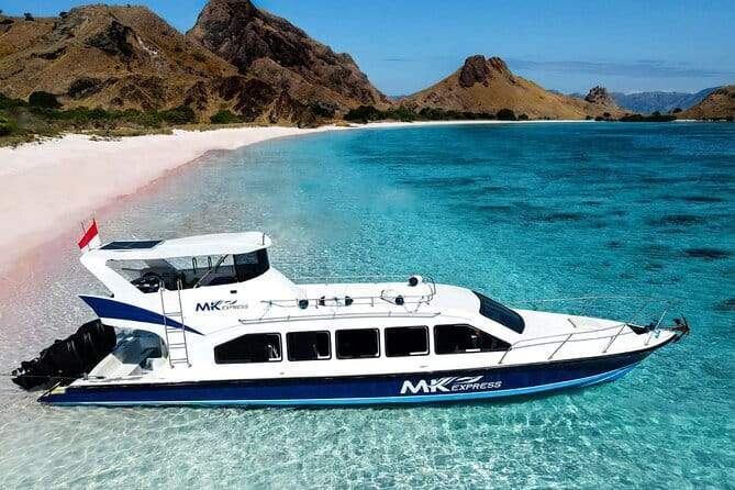 Komodo Islands with Speedboat in Labuhan Bajo - Komodo or Rinca: the wildlife stop