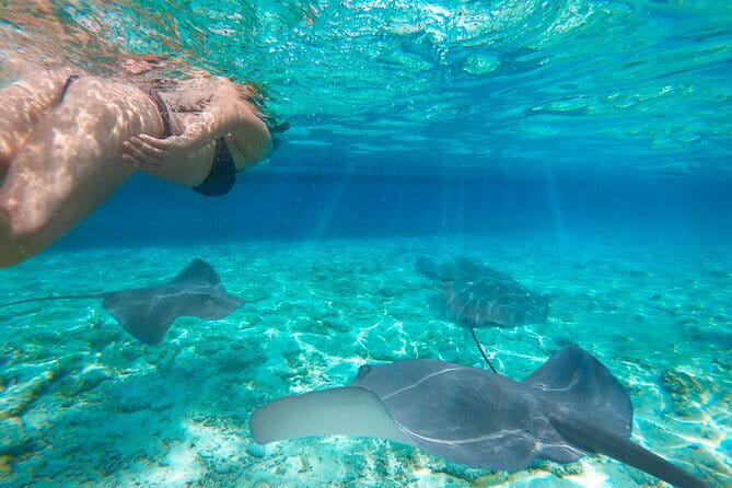Komodo & Snorkeling Adventure by Private Speedboat - Manta Point and the excitement of open water