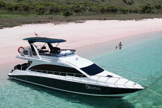 Komodo & Snorkeling Adventure by Private Speedboat - A second dragon chance at Rinca Island