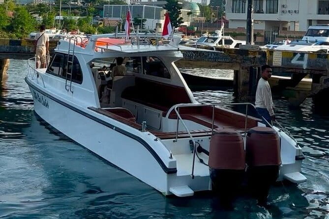Komodo & Snorkeling Adventure by Private Speedboat - Komodo Island and the first dragon encounter