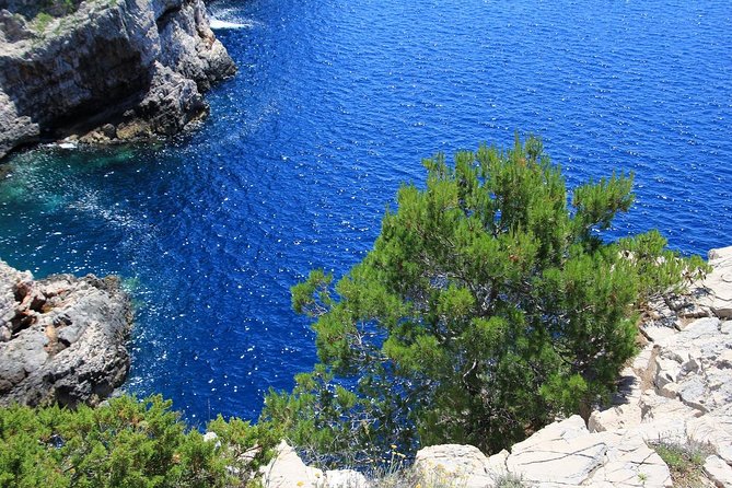 KORNATI by speed boat - Key points to know before you go