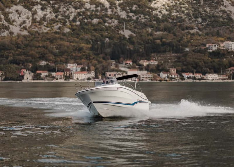 Kotor: Bay of Kotor and Blue Cave Speedboat Tour - Should you book the Kotor Blue Cave tour?