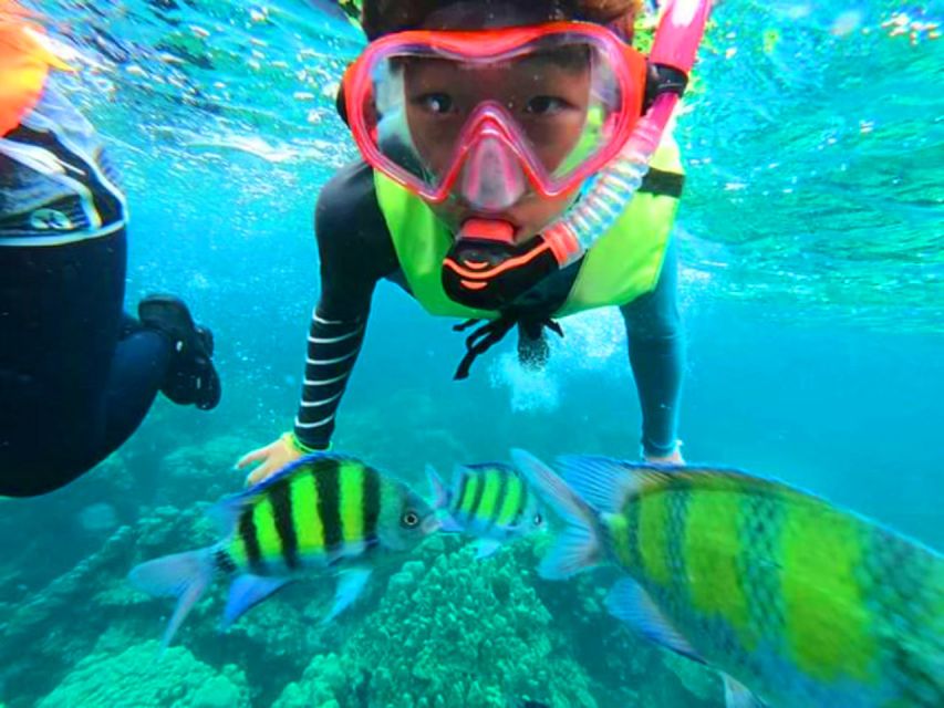 Krabi: Koh Rok & Koh Haa Hidden Snorkeling Tour by Speedboat - Why Koh Rok and Koh Haa make a strong day trip