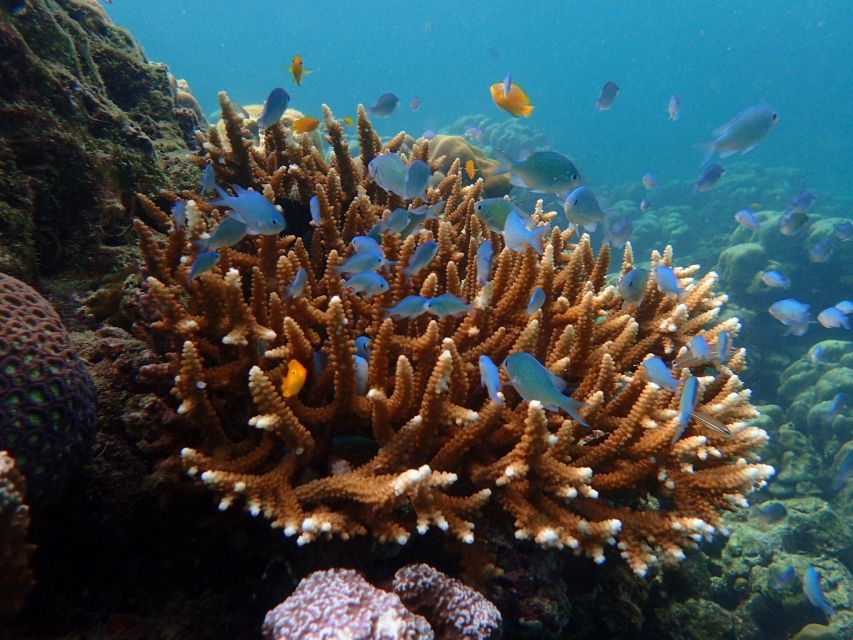 Krabi: Koh Rok & Koh Haa Hidden Snorkeling Tour by Speedboat - The second snorkeling stop at Koh Haa