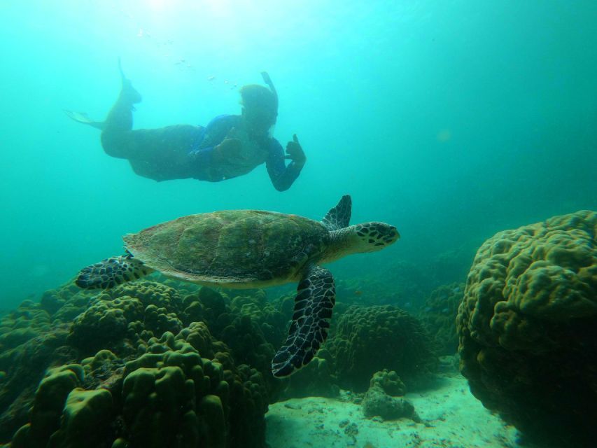 Krabi: Koh Rok & Koh Haa Hidden Snorkeling Tour by Speedboat - What the $98 price really includes