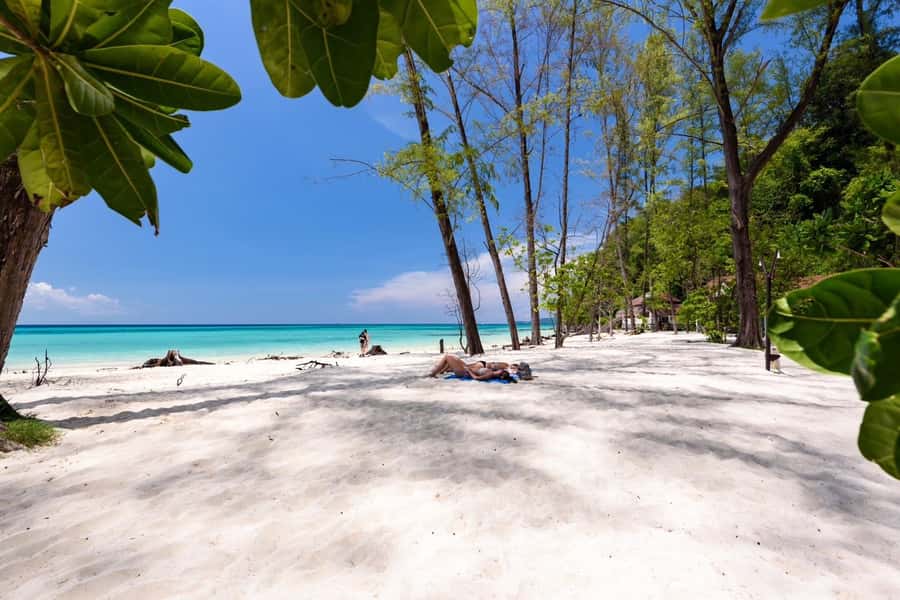 Krabi: Phi Phi & 4 Islands Sunset Tour by Speedboat - Monkey Beach is brief and tide dependent