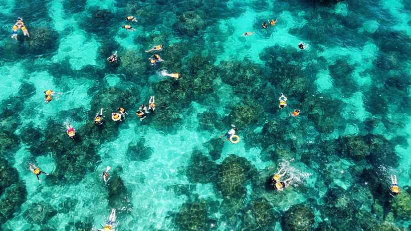 Krabi: Phi Phi and 4 Islands with Snorkeling by Speed Boat - Chicken Island and Poda Island
